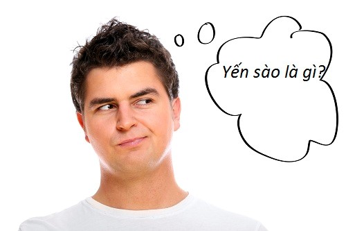 Hiểu lầm tai hại về tổ yến sào